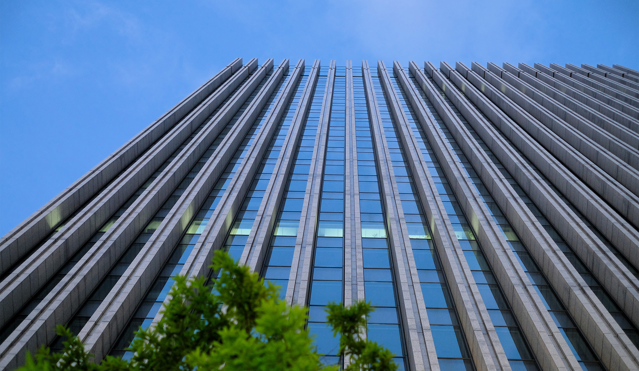 会社概要・沿革