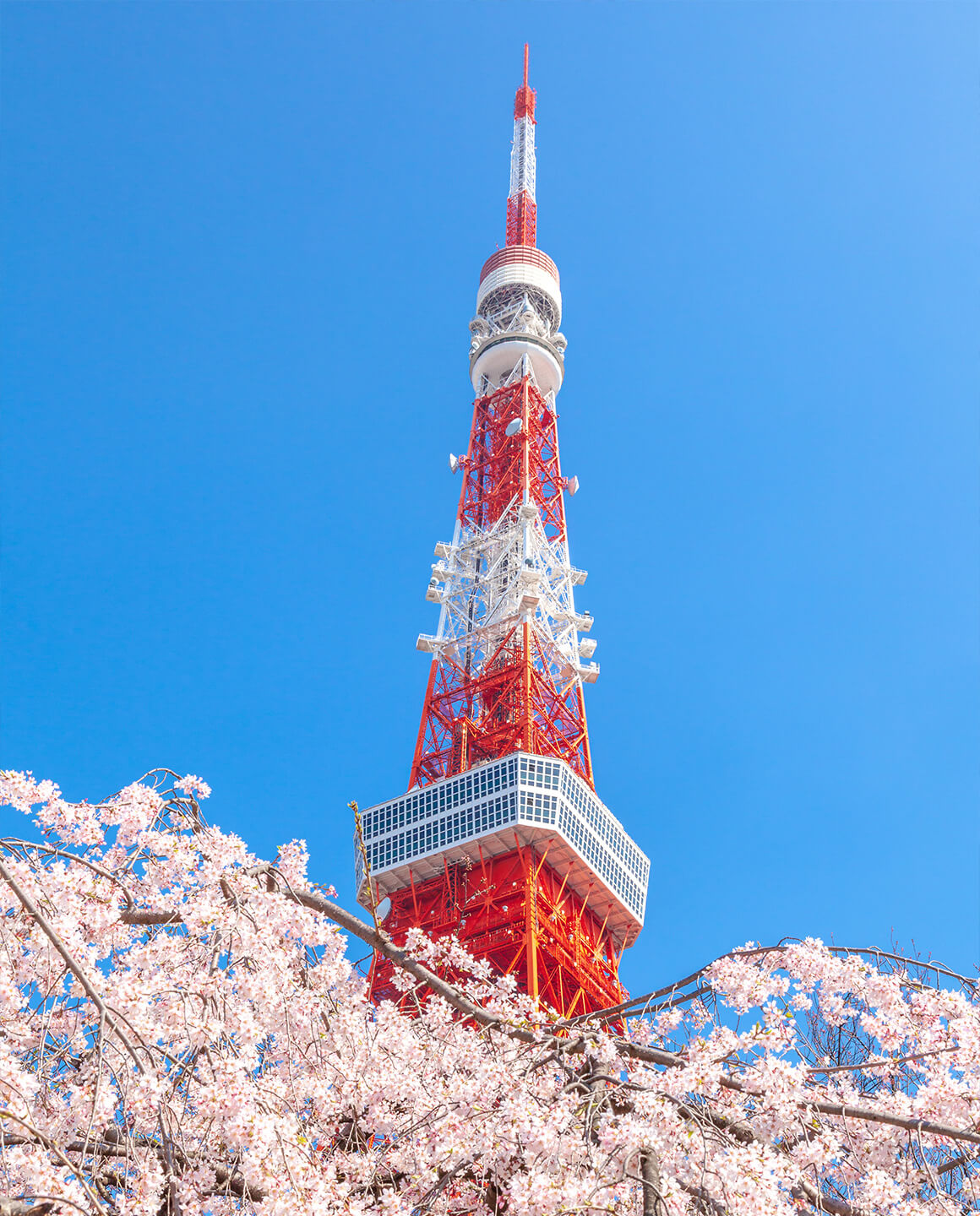 経営理念・ビジョン